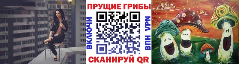 Купить закладки  Азнакаево  Галлюциногенные грибы Magic Shrooms 